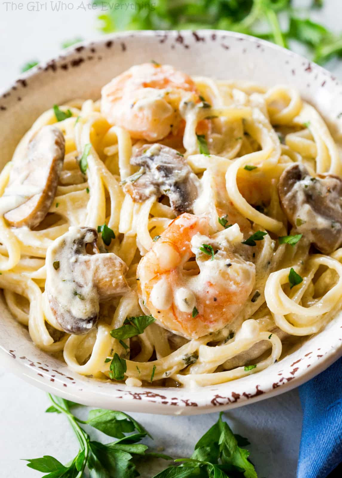 Creamy Shrimp Pasta
 creamy shrimp and mushroom pasta