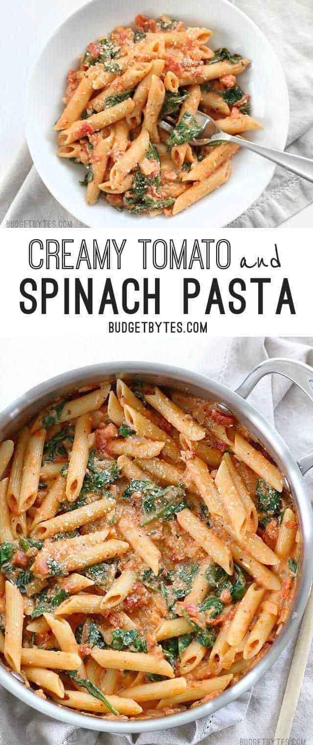 Creamy Tomato Pasta
 Creamy Tomato and Spinach Pasta Bud Bytes