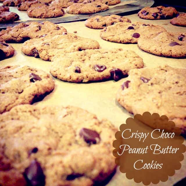 Crispy Peanut Butter Cookies
 Crispy Choco Peanut Butter Cookies Gluten Free Sweetphi