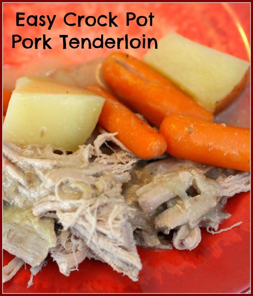 Crock Pot Pork Tenderloin
 Easy Crock Pot Pork Tenderloin Detours in Life