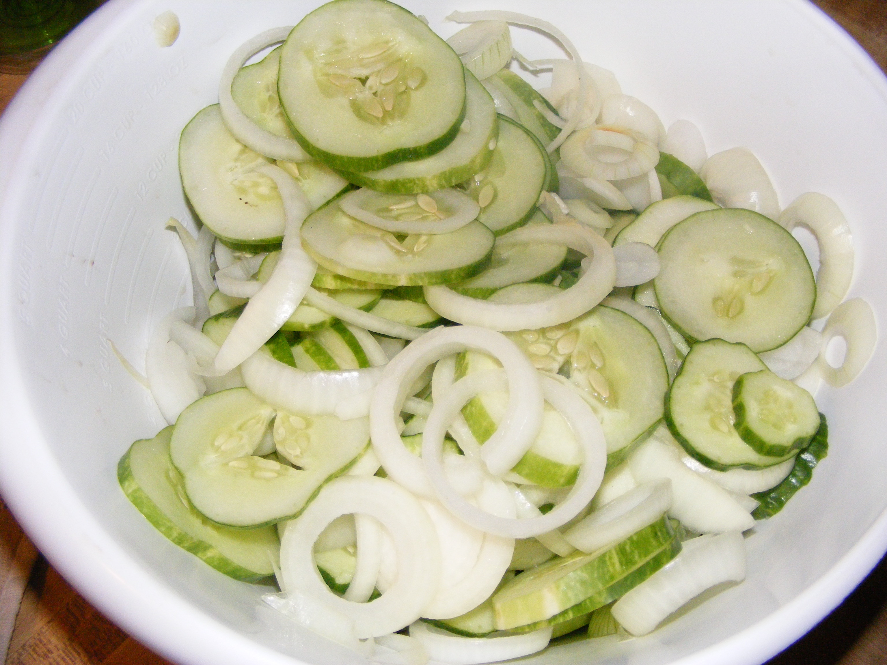 Cucumber Onion Salad
 Cucumber ion Salad – Homestead Living