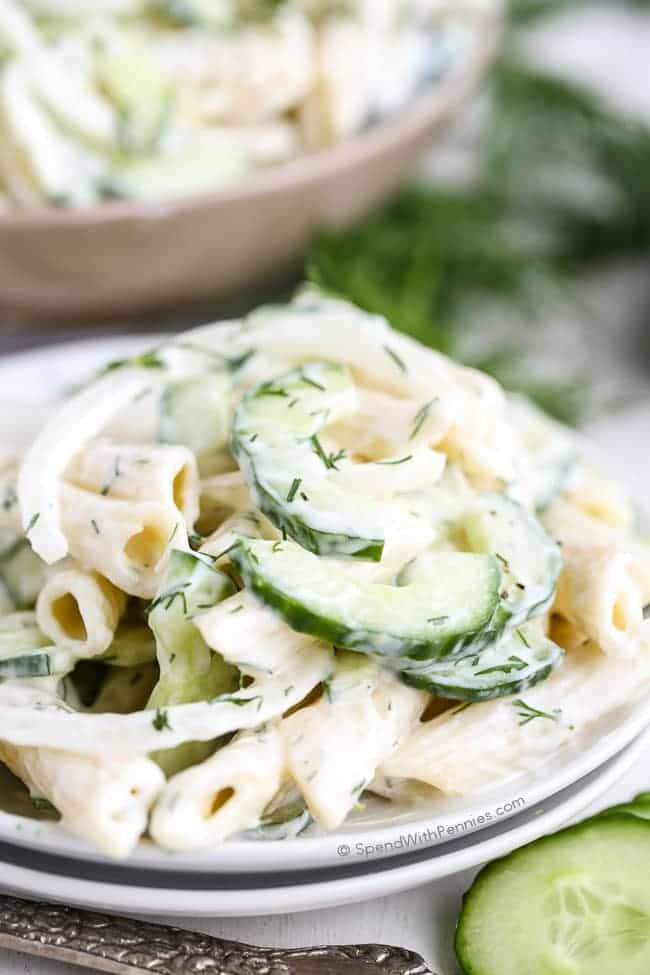 Cucumber Pasta Salad
 Creamy Cucumber Pasta Salad Spend With Pennies