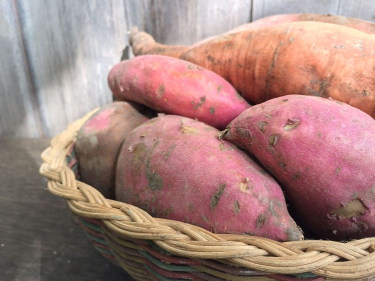 Cure Sweet Potato
 How to Grow Harvest Cure and Store Sweet Potatoes