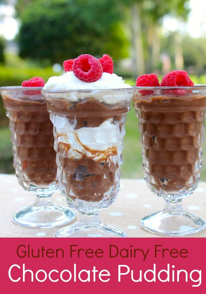 Dairy And Gluten Free Desserts
 Dairy Free Chocolate Pudding The Happy Housewife™ Cooking