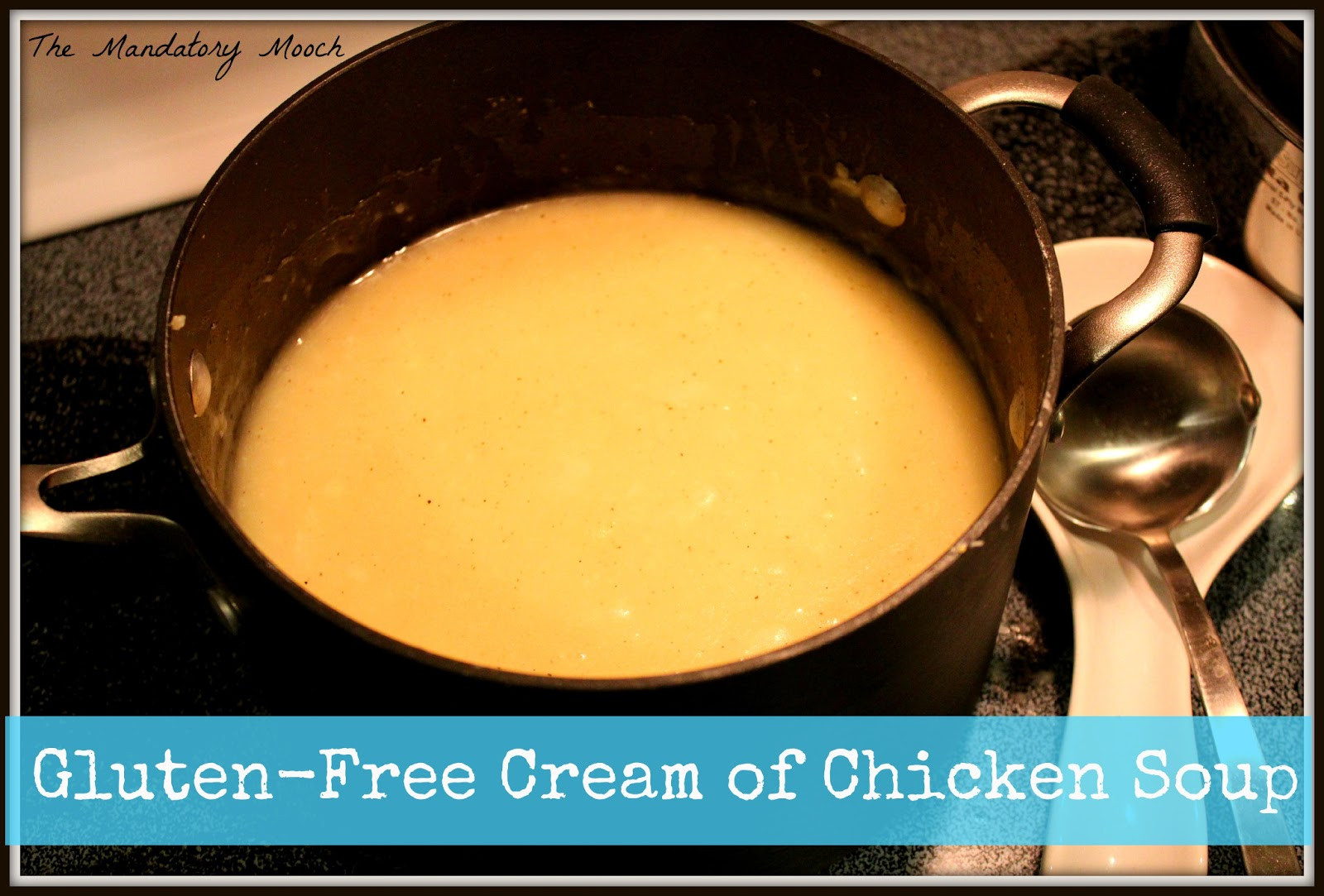 Dairy Free Cream Of Chicken Soup
 The Mandatory Mooch Gluten Free Cream of Chicken Soup