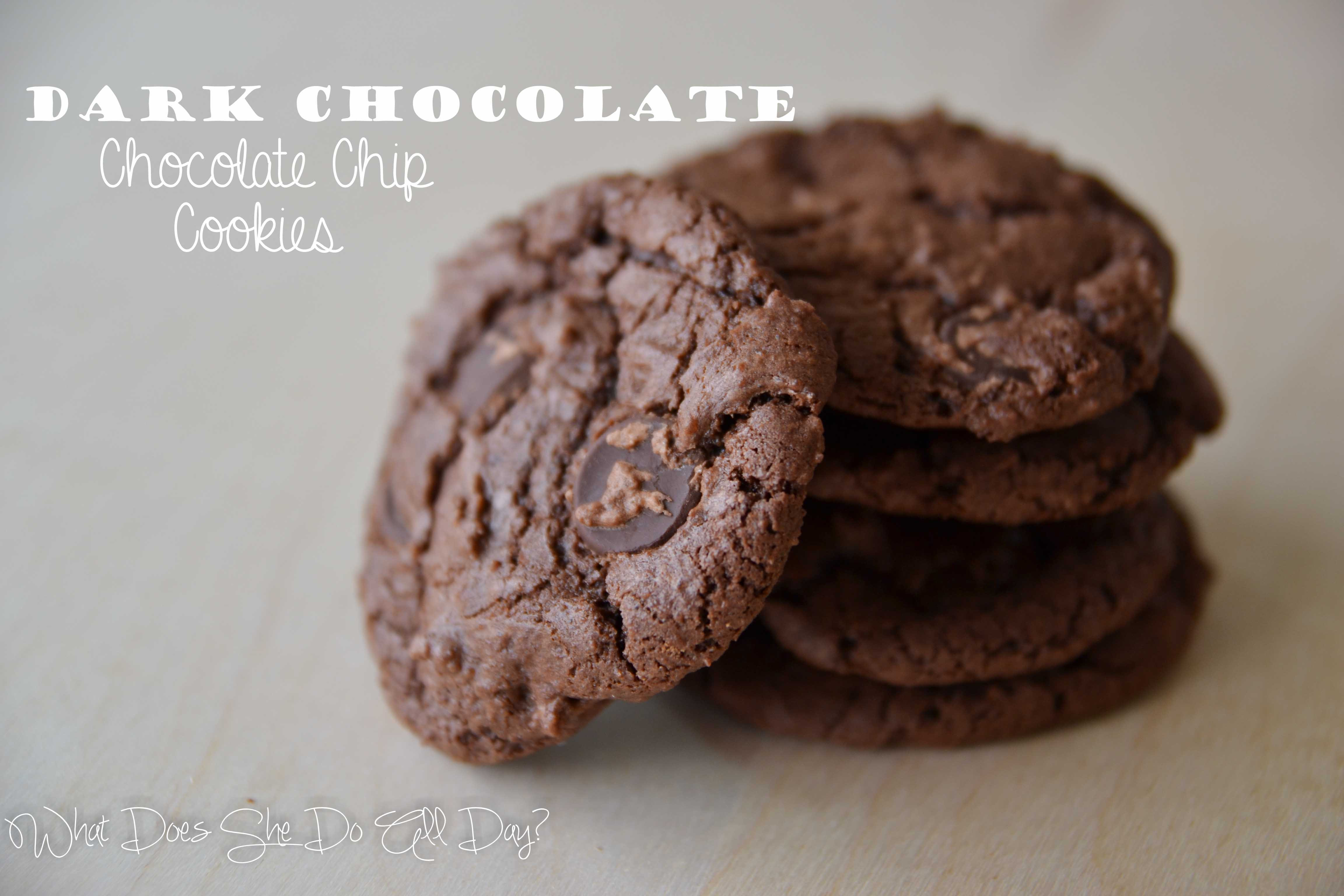 Dark Chocolate Chip Cookies
 Dark Chocolate Chocolate Chip Cookies What Does She Do