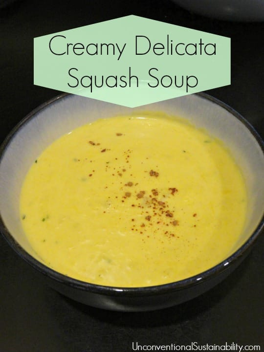 Delicata Squash Soup
 Recipes Unconventional Sustainability