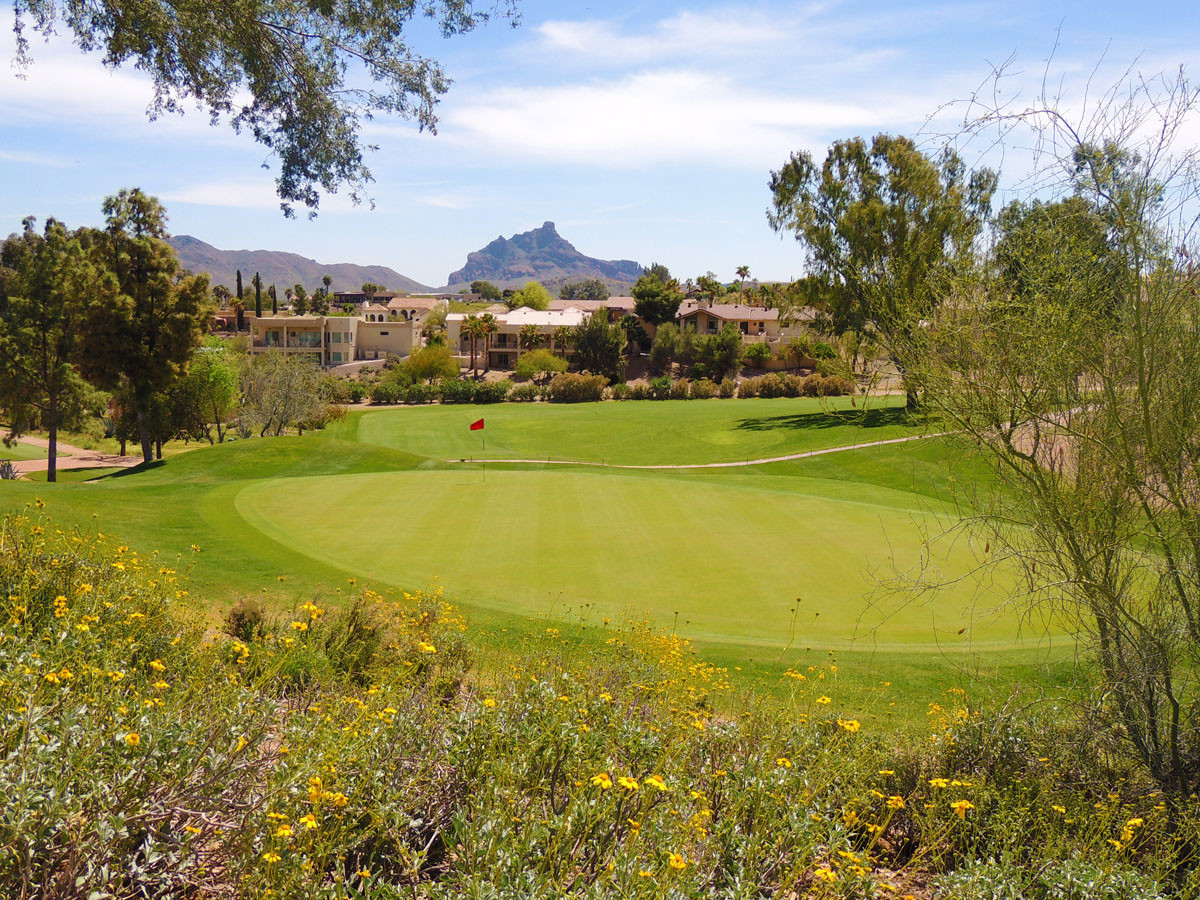 Dessert Canyon Golf Course
 Desert Canyon Golf Club Fountain Hills Golf Course