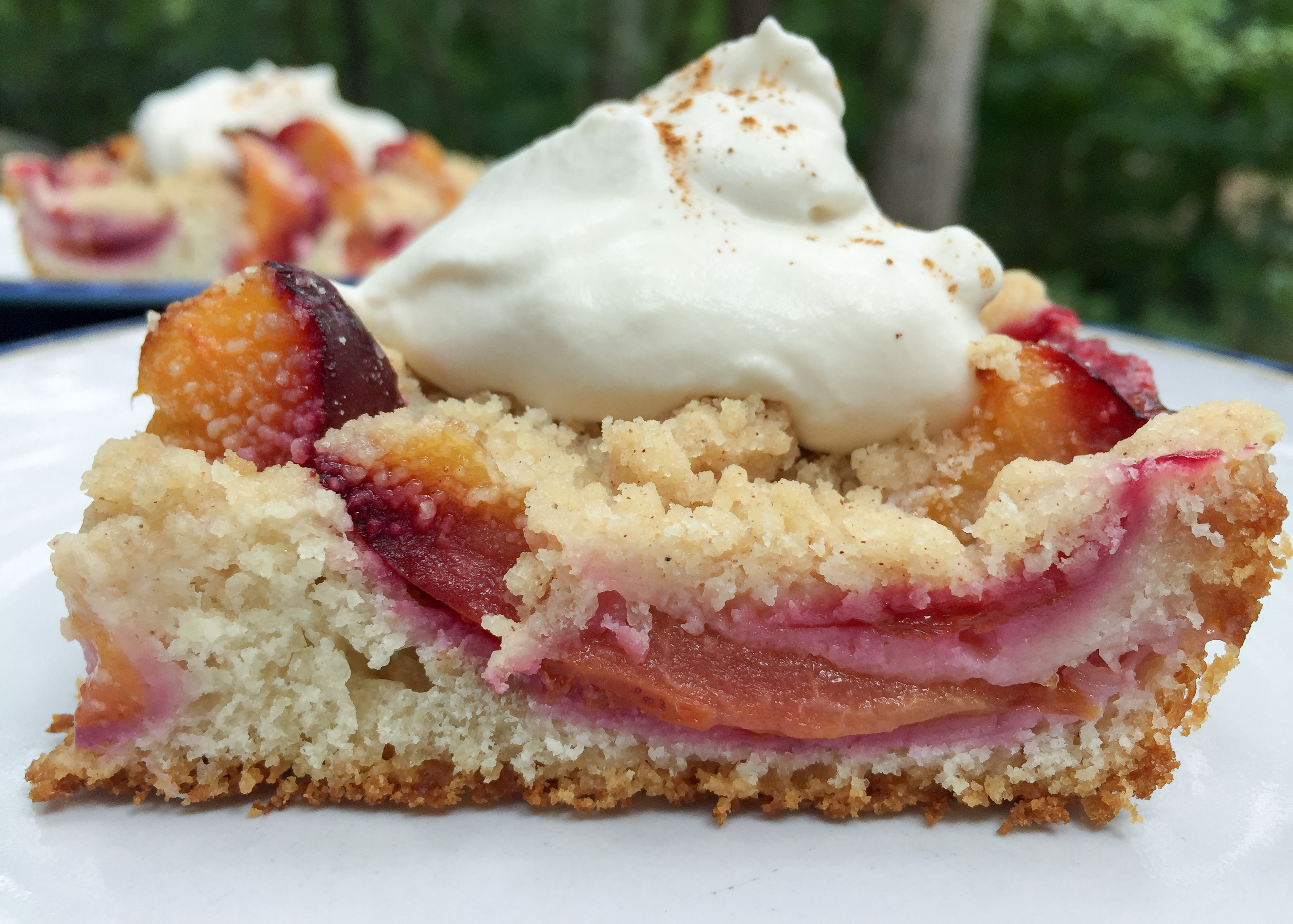 Dessert In German
 Easy German Plum Cake International Desserts Blog