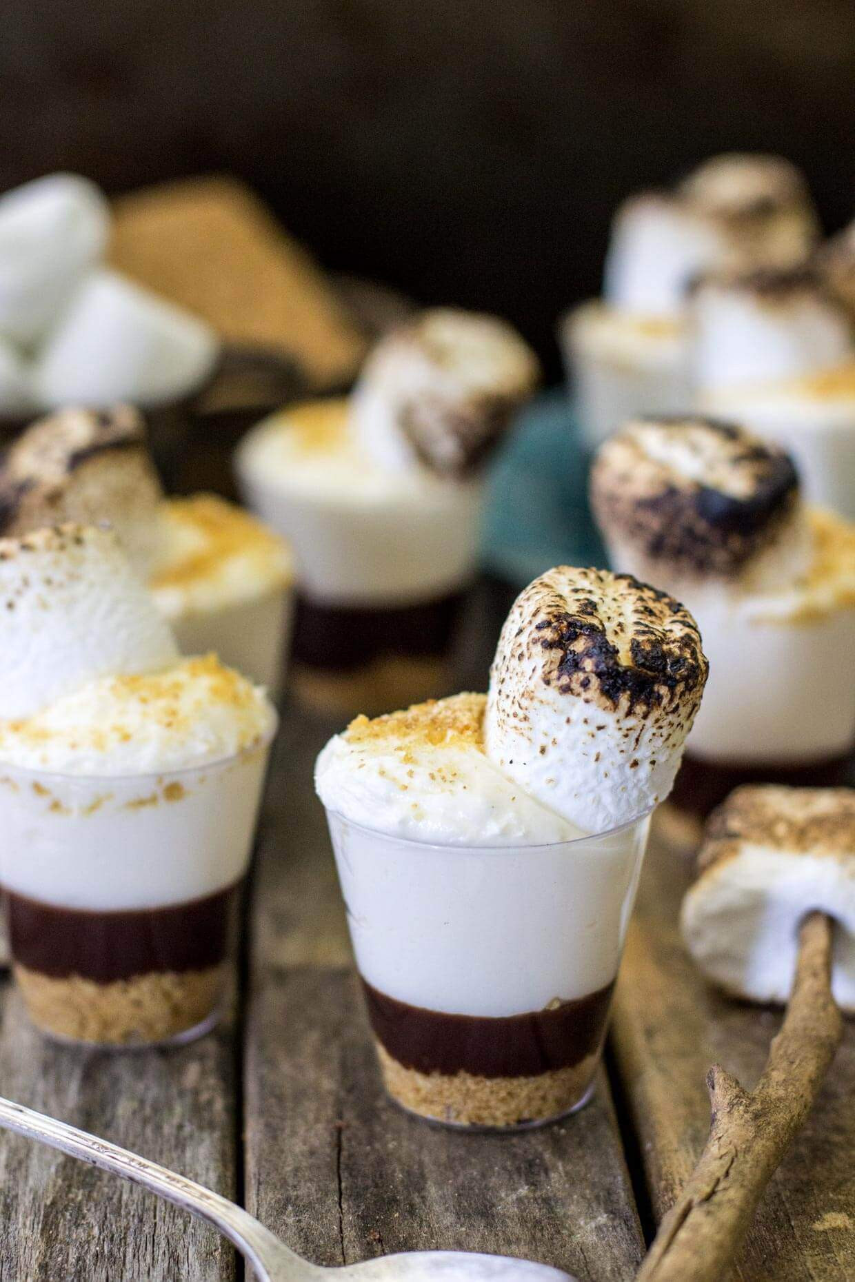 Dessert Shooter Cups
 S mores Cheesecake Dessert Shooters Sugar Spun Run