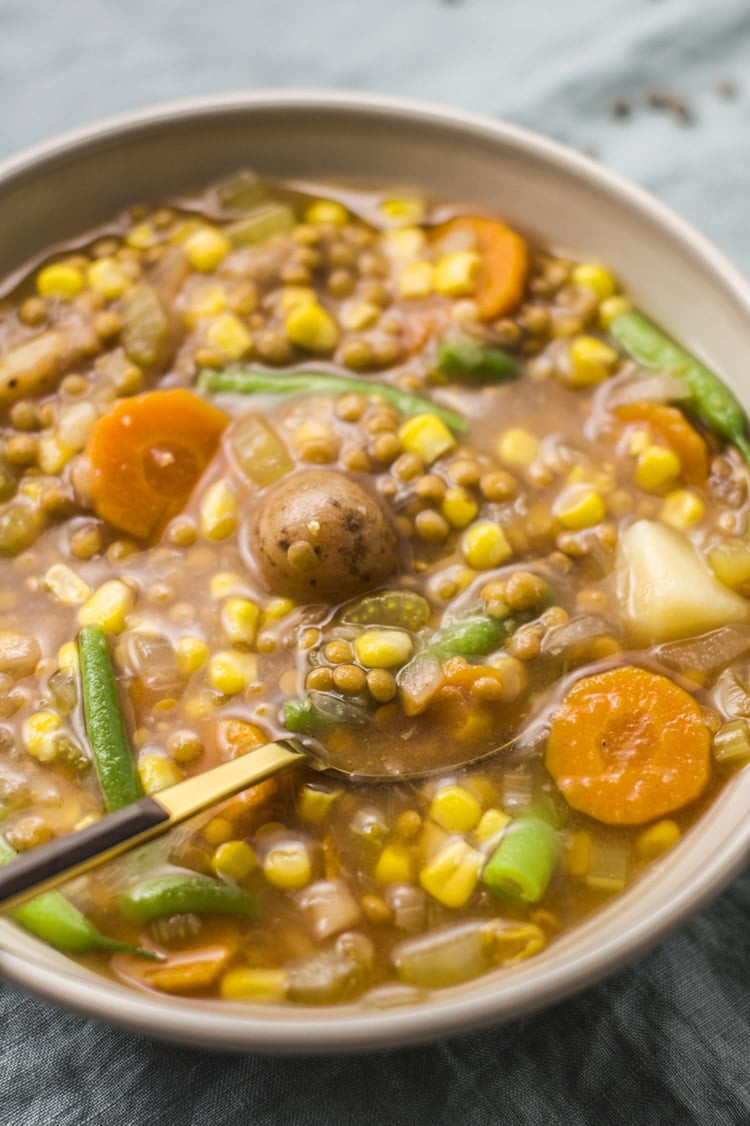 Difference Between Stew And Soup
 Slow Cooker Lentil & Veggie Stew