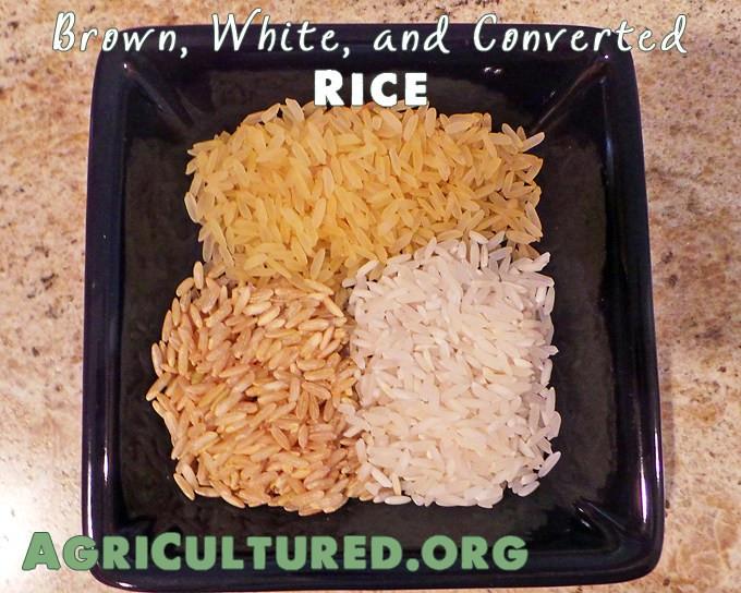 Difference Between White And Brown Rice
 Brown white and converted rice