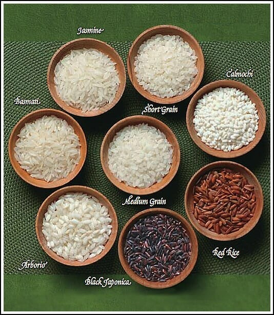 Difference Between White And Brown Rice
 The Difference Between Ingre nts Andrea Dekker