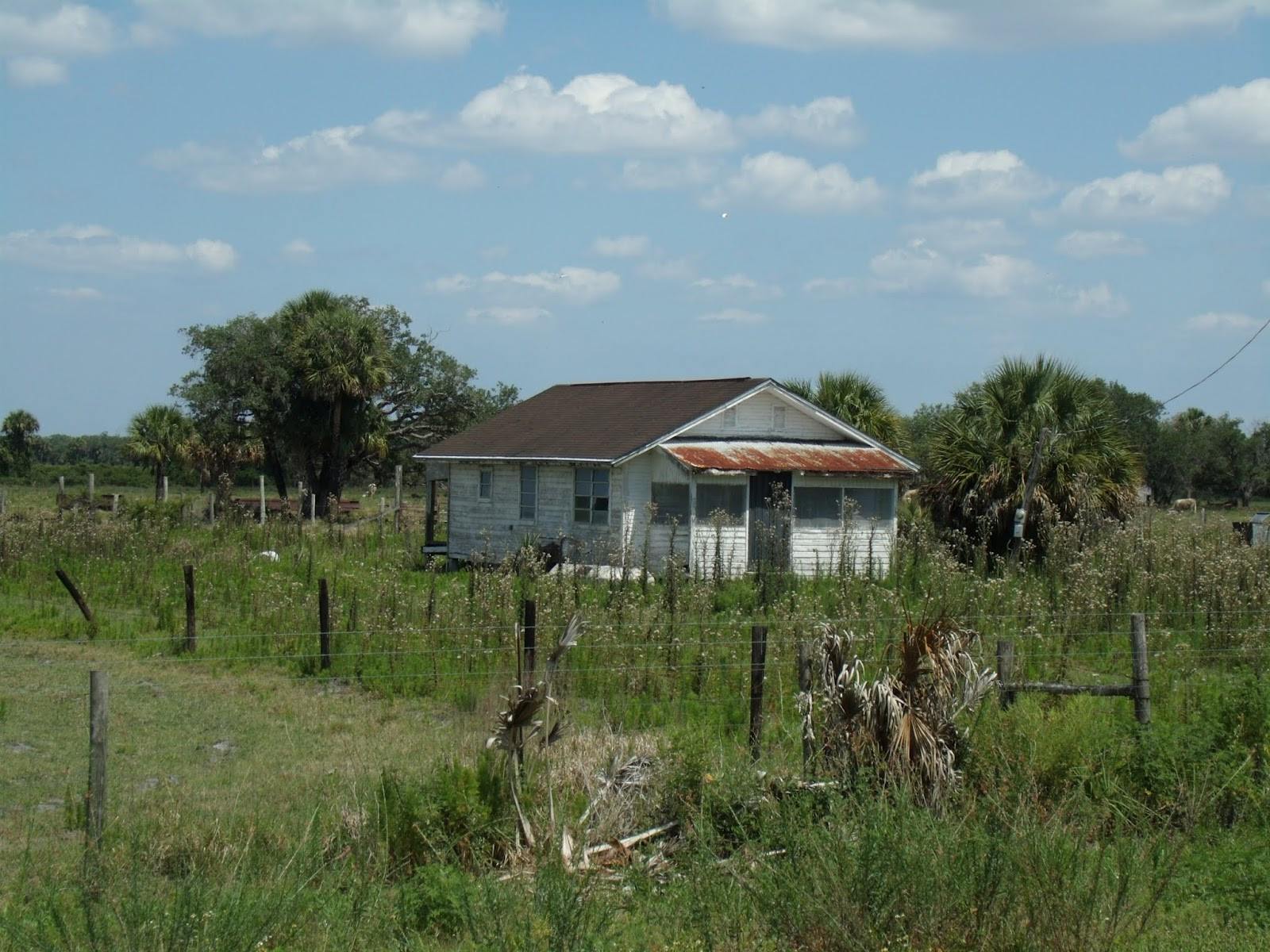 Dinner Island Ranch
 Bicycle Routes 305 Descubriendo la Florida Ruta 61