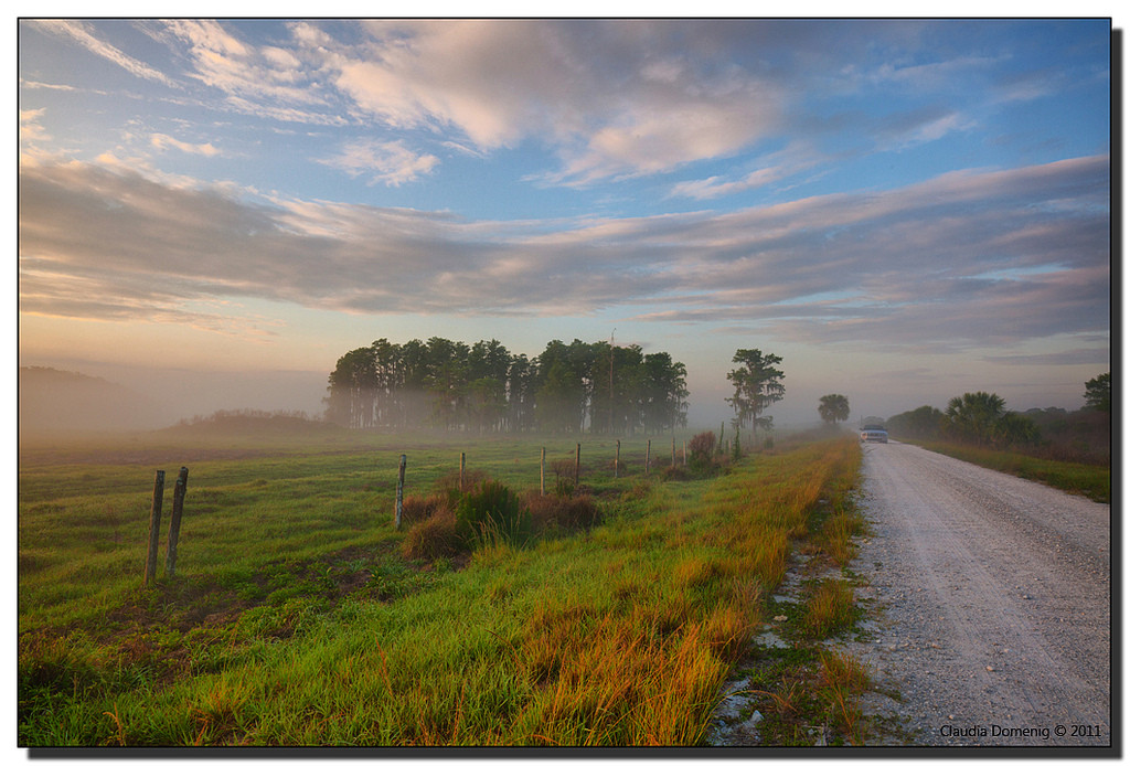 Dinner Island Ranch
 Morning Mist