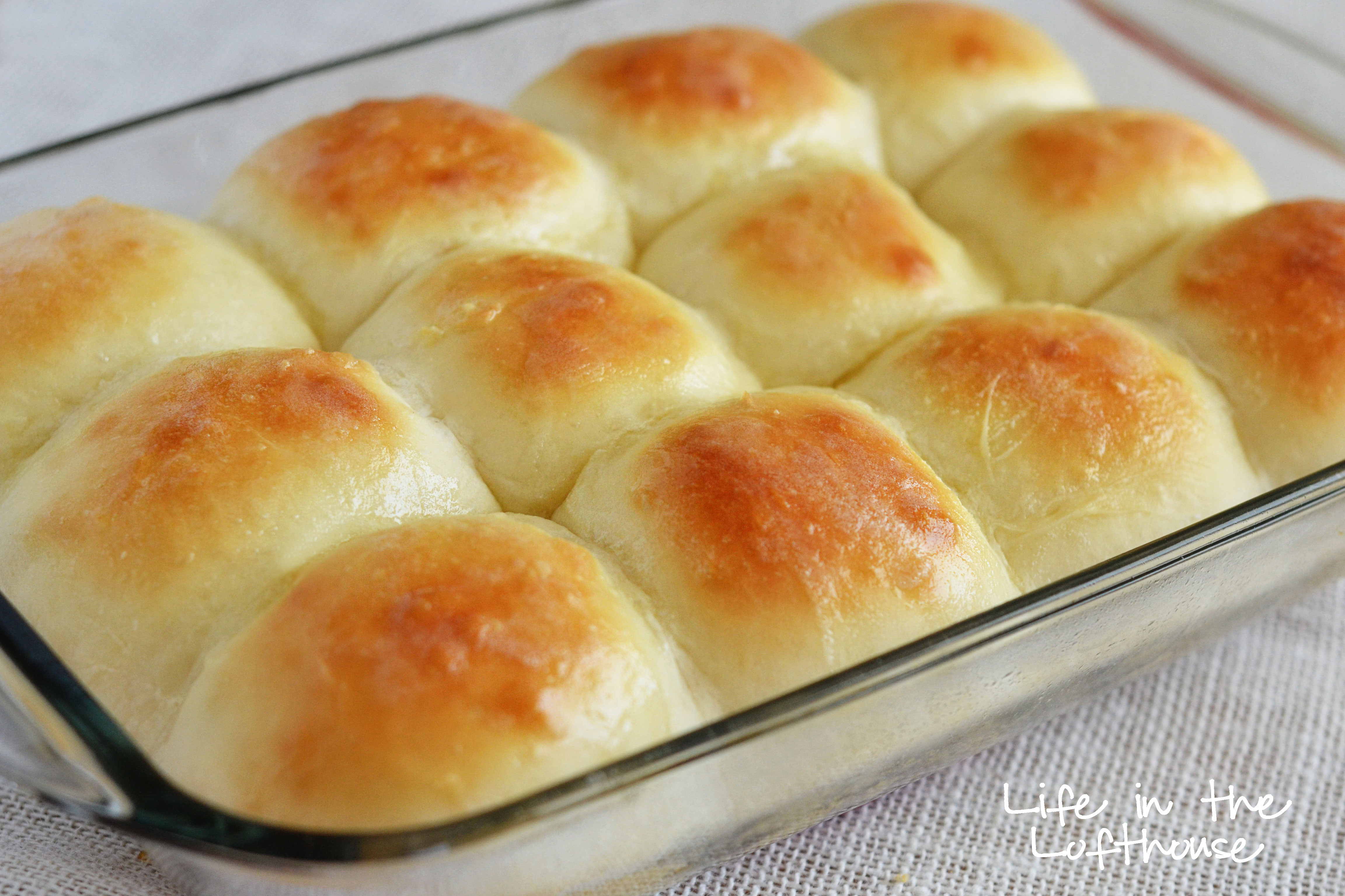 Dinner Roll Recipes
 World s Best Dinner Rolls