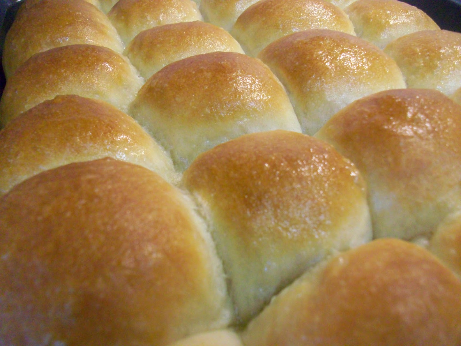 Dinner Roll Recipes
 At Home With Haley Perfect Dinner Rolls