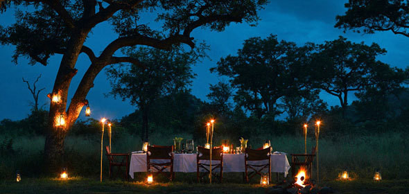 Dinner Under The Stars
 Safari Dining Under The Stars