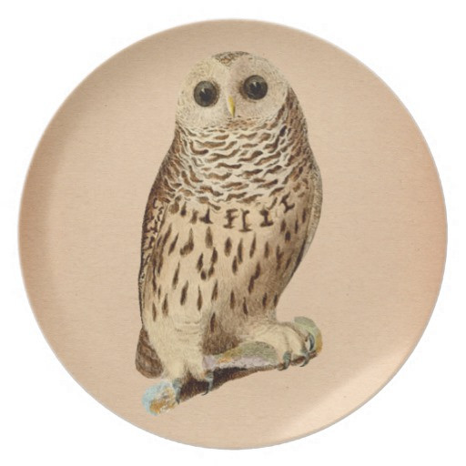 Dinner With An Owl
 Vintage Owl Dinner Plates