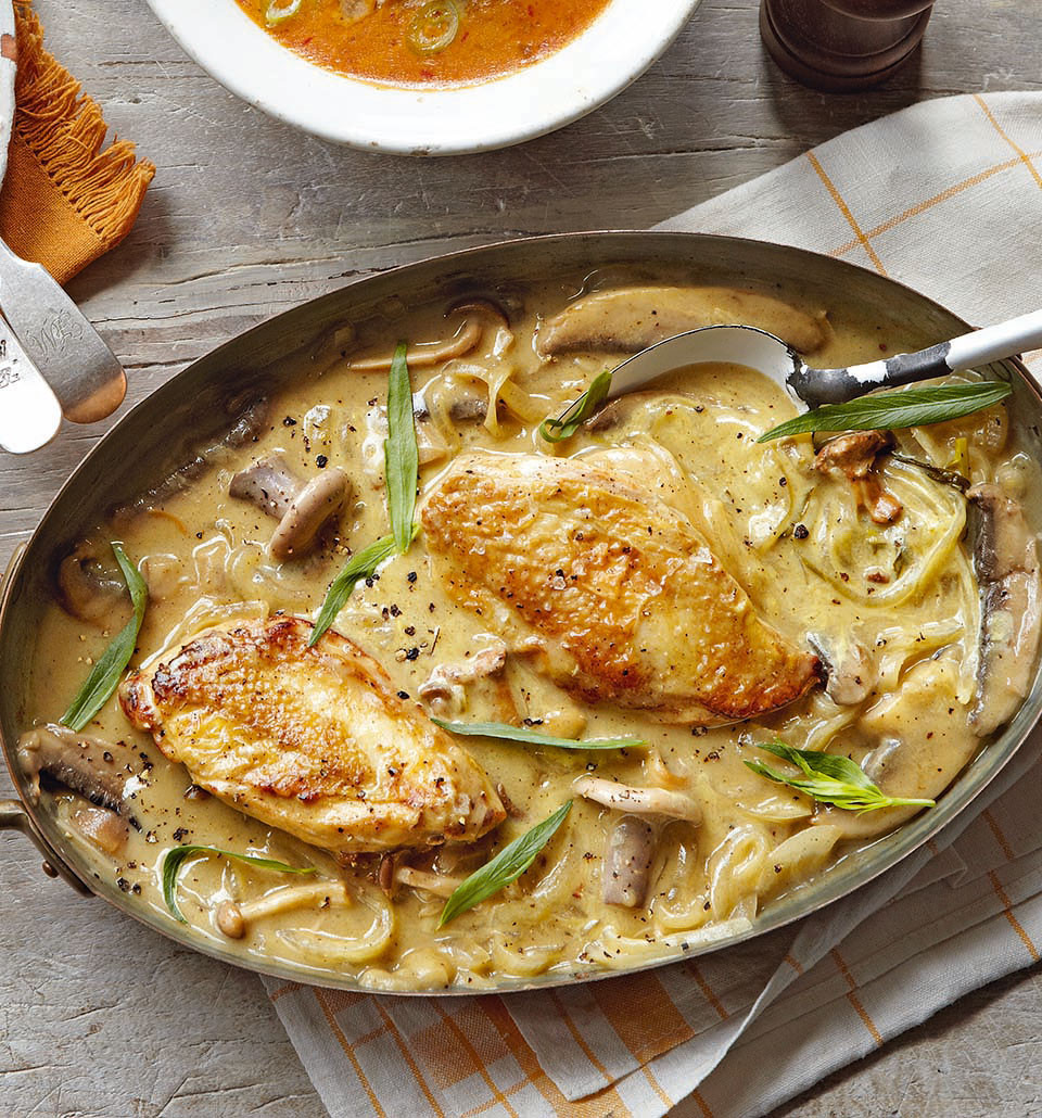 Dinners With Chicken
 Our favourite chicken recipes delicious magazine