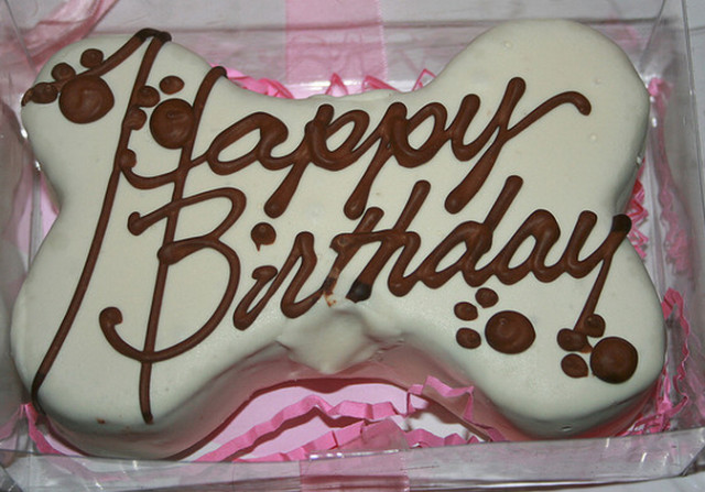 Dog Birthday Cake
 Perfect dog birthday cakes for your pet to pamper with