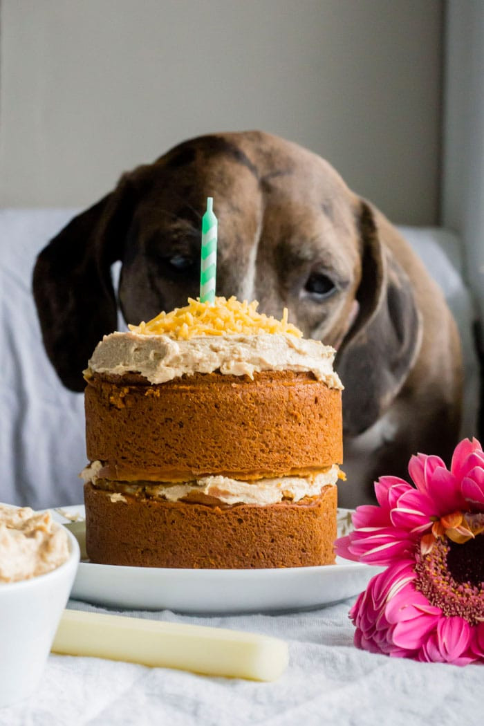 Dog Birthday Cake
 Mini Dog Birthday Cake