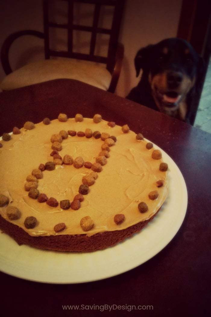 Dog Cake Recipe
 Dog Birthday Cake Recipe A Special Treat for Your Dog s