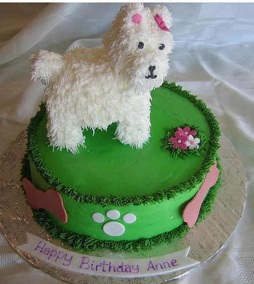 Doggie Birthday Cake
 The big surprise a dog birthday cake