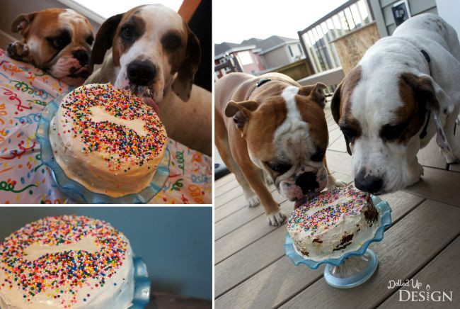 Doggie Birthday Cake
 Puppy Cake Recipe Idea Moms & Munchkins