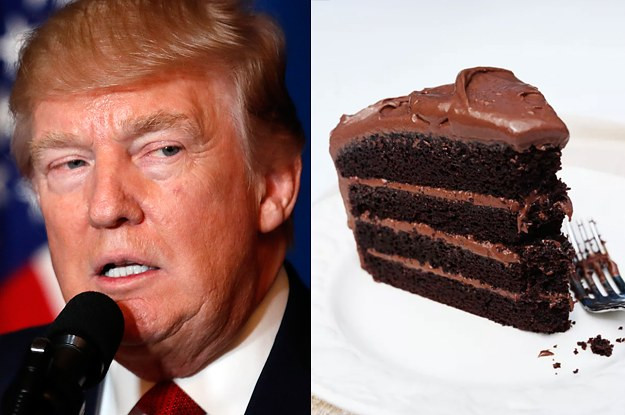 Donald Trump Chocolate Cake
 Fascist Administration Behalf Anti Gay Baker