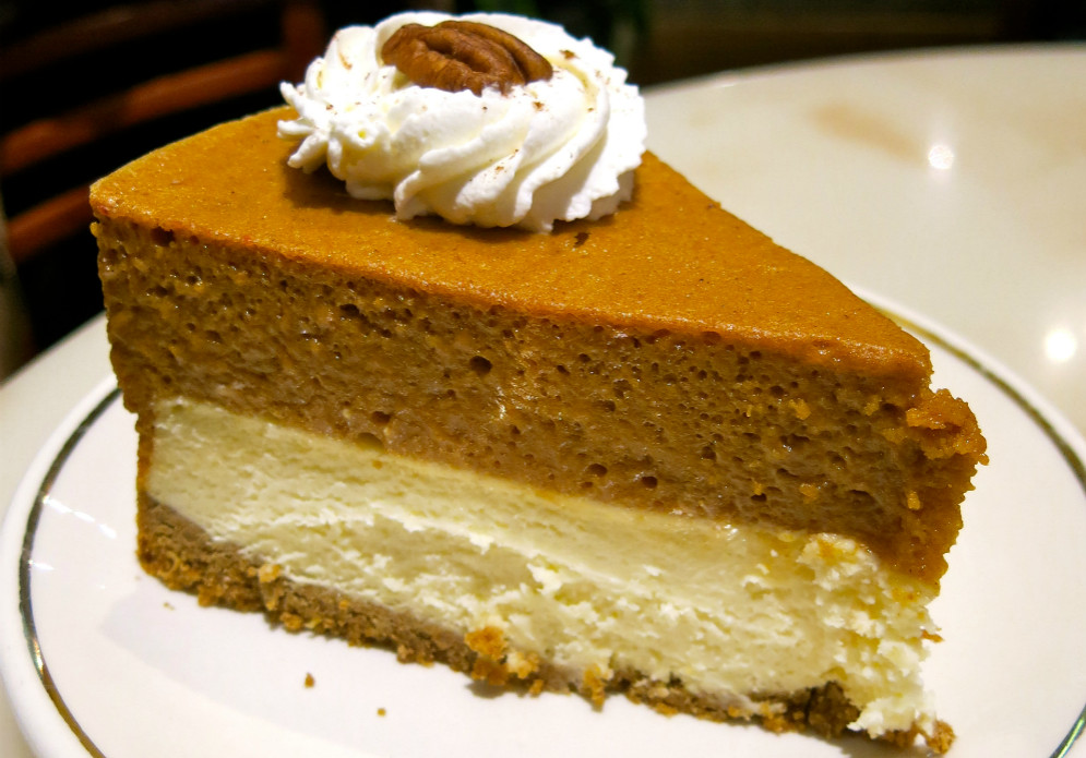 Double Layer Pumpkin Pie
 Double Layer Pumpkin Pie Recipe ObesityHelp