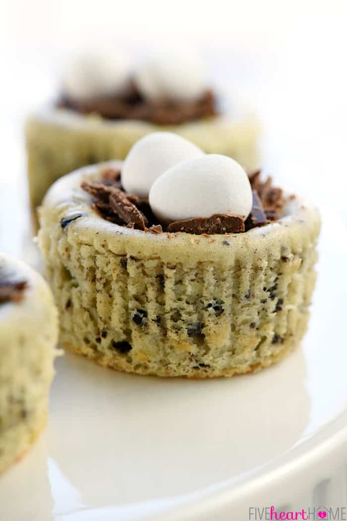 Easter Dessert Recipes
 easy oreo recipes