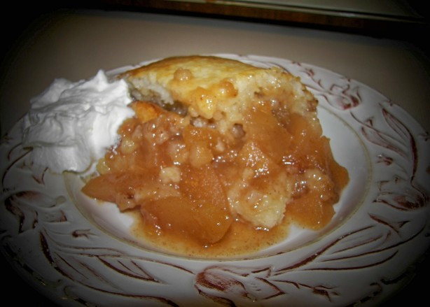 Easy Apple Dessert Recipes With Fresh Apples
 Country Fresh Apple Cobbler Recipe Food