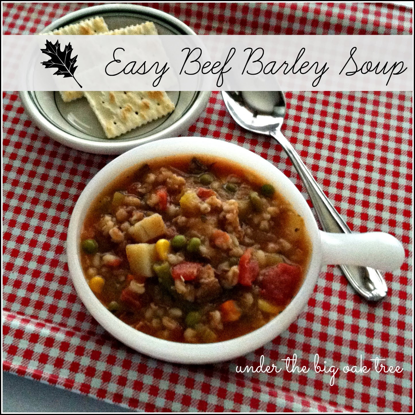 Easy Beef Barley Soup
 Under the Big Oak Tree Easy Beef Barley Soup