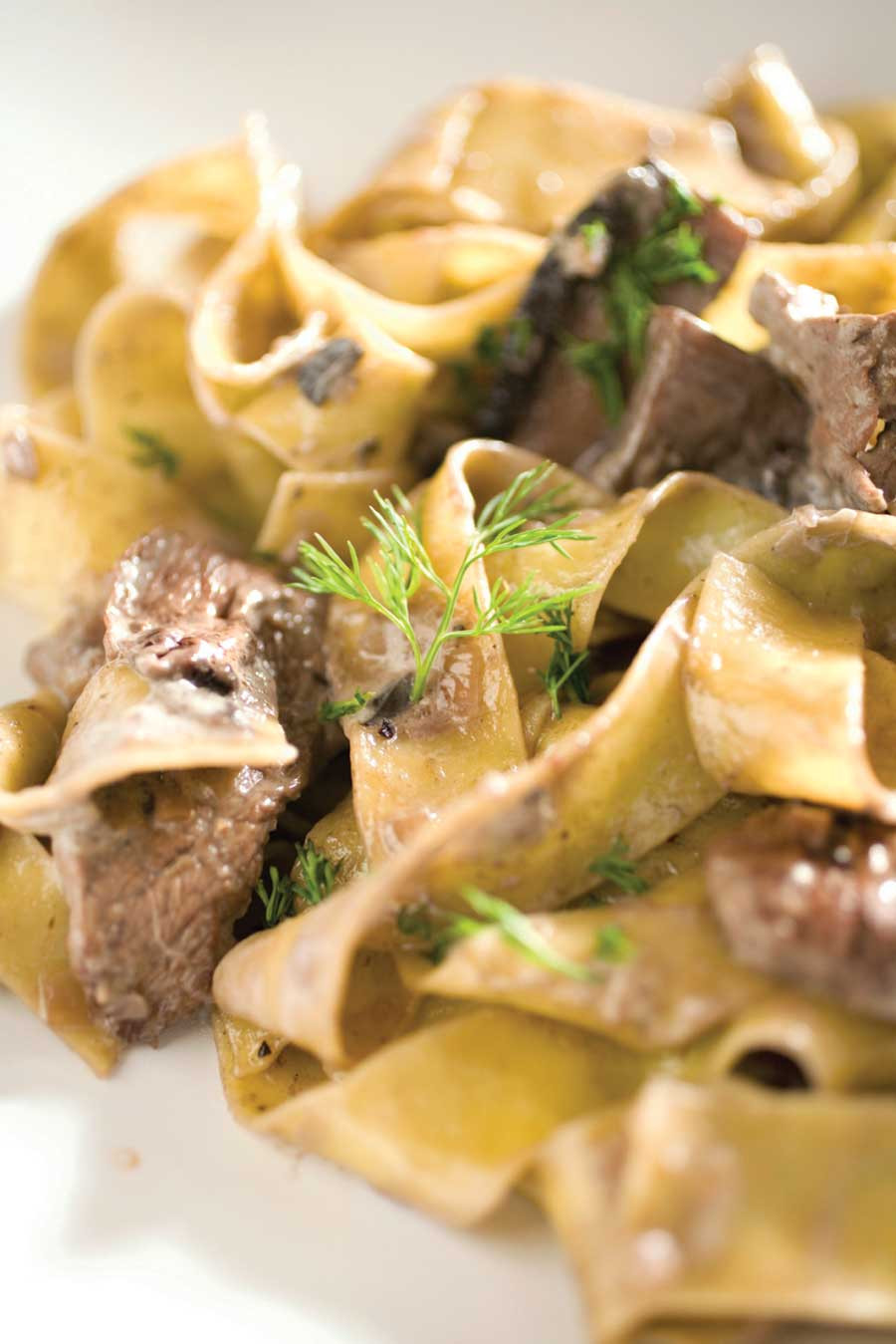 Easy Beef Stroganoff Recipe
 Easy Beef Stroganoff Recipe