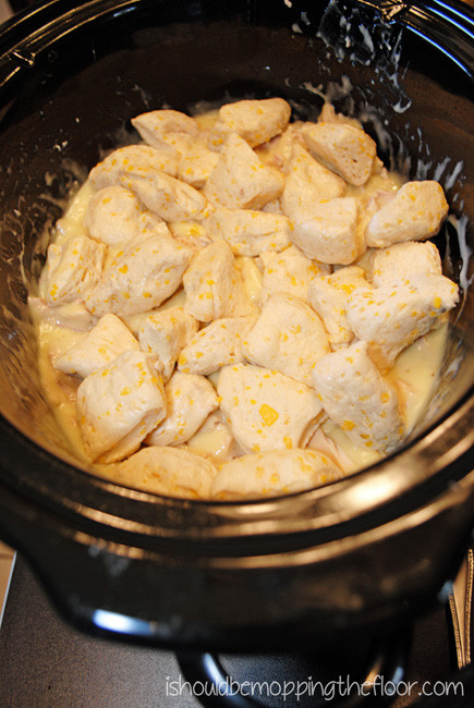 Easy Chicken And Dumplings With Biscuits
 i should be mopping the floor Easy Chicken and Dumplings