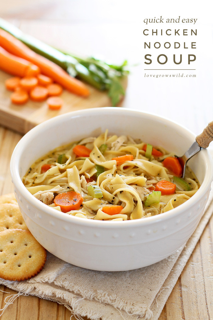 Easy Chicken Noodle Soup
 Quick and Easy Chicken Noodle Soup Love Grows Wild