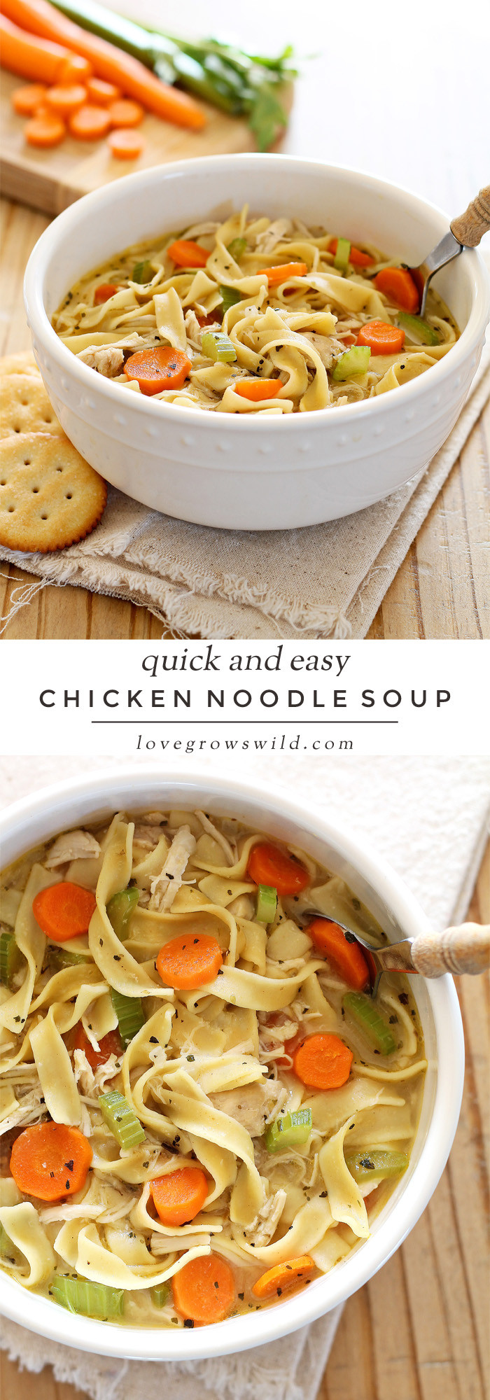 Easy Chicken Noodle Soup
 Quick and Easy Chicken Noodle Soup Love Grows Wild