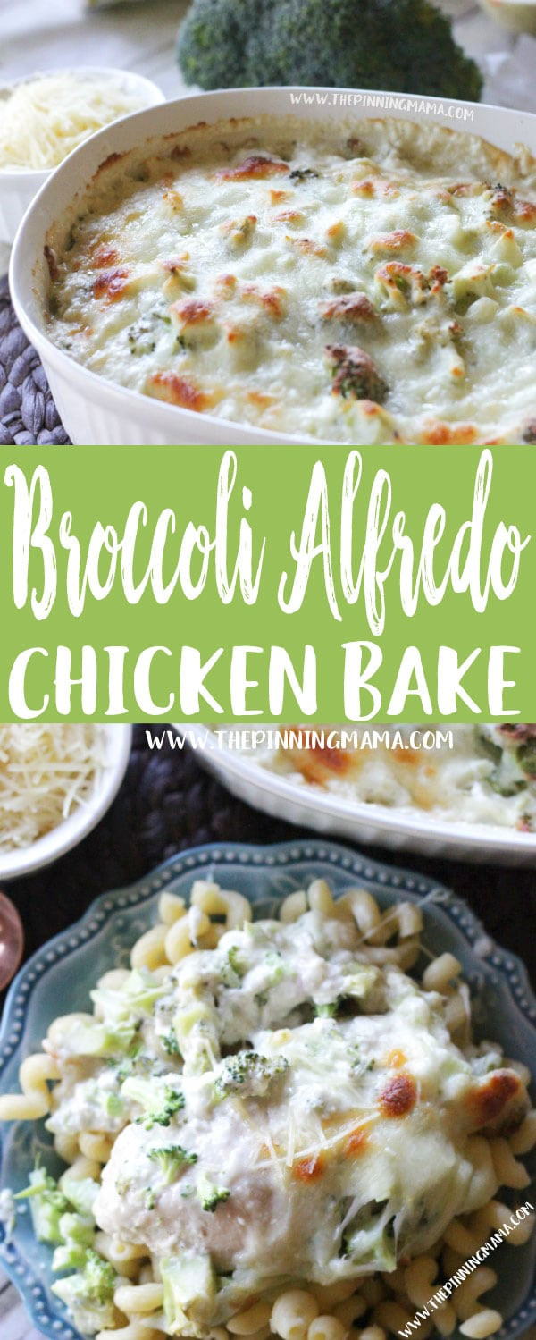 Easy Chicken Recipes For Dinner With Few Ingredients
 Broccoli Alfredo Chicken Bake Recipe