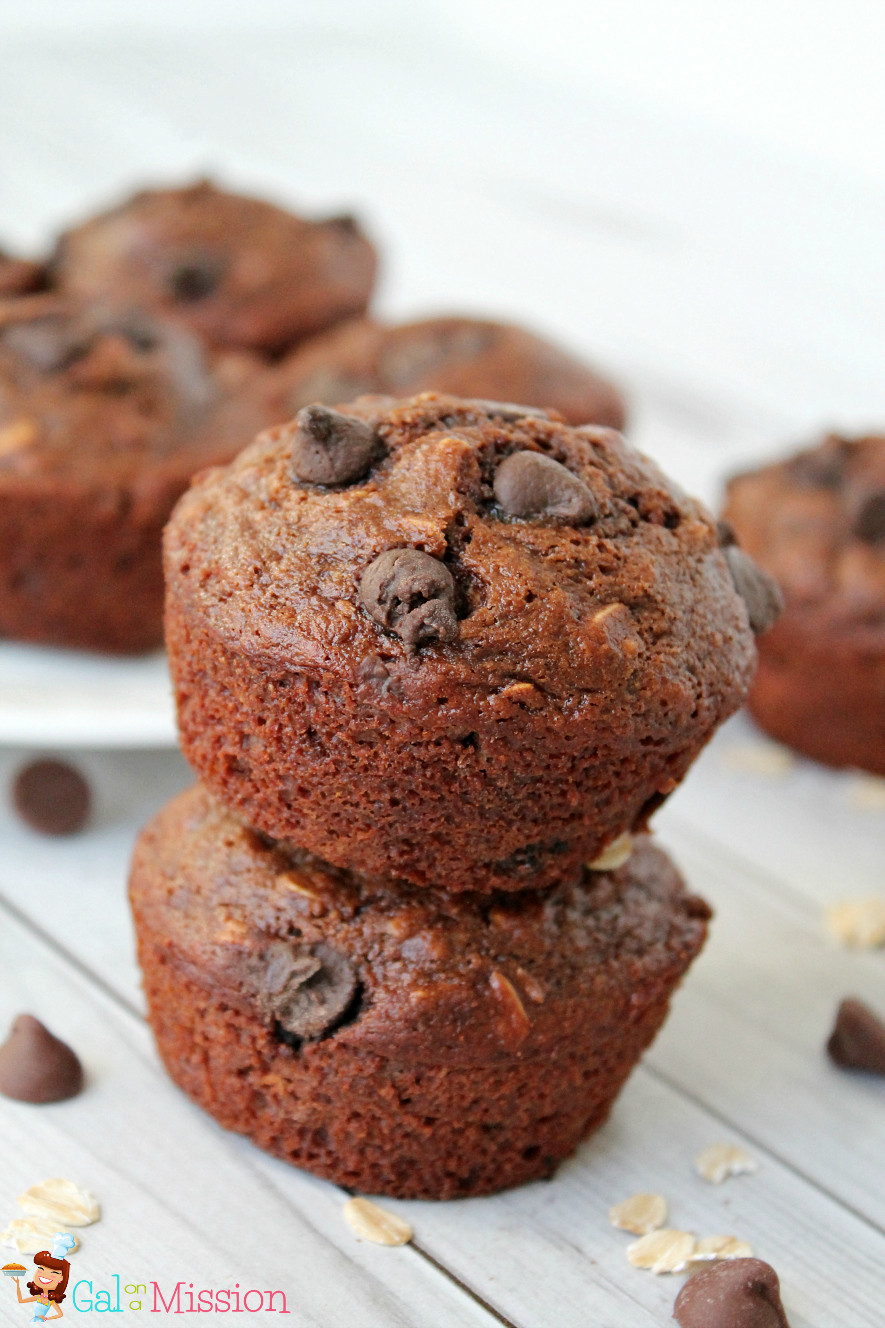 Easy Chocolate Chip Muffins
 Easy Chocolate Chip Muffins Gal on a Mission