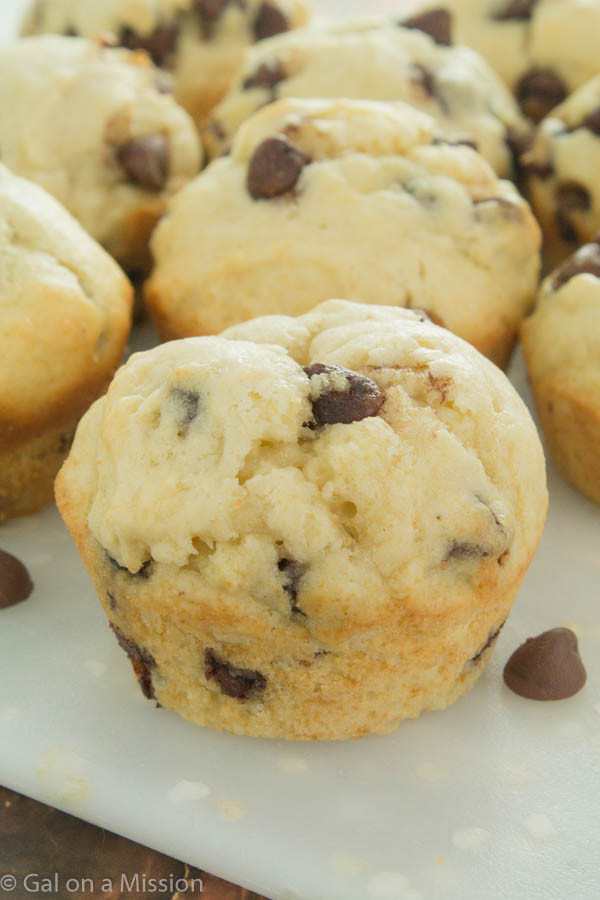 Easy Chocolate Chip Muffins
 Easy Chocolate Chip Muffins Gal on a Mission