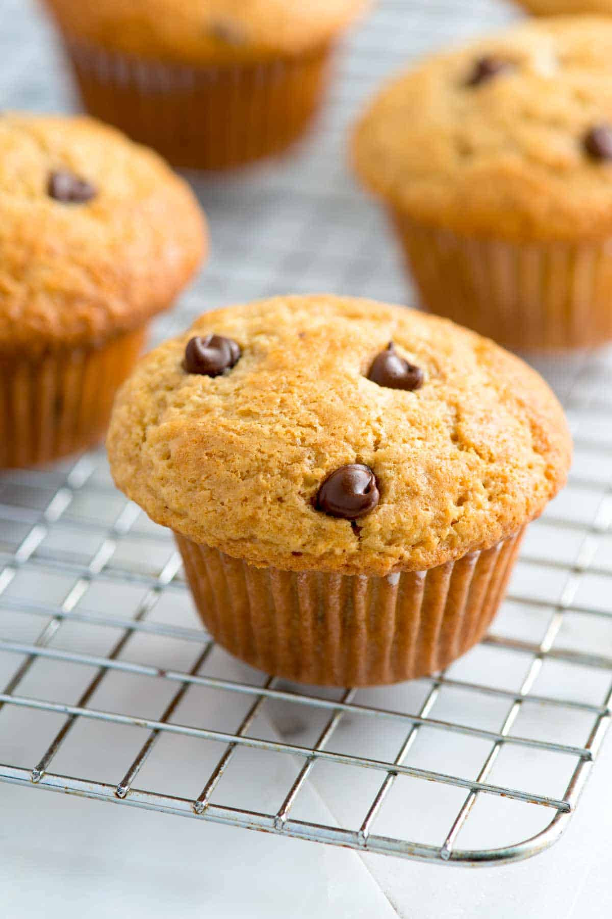 Easy Chocolate Chip Muffins
 Easy Chocolate Chip Muffins Recipe