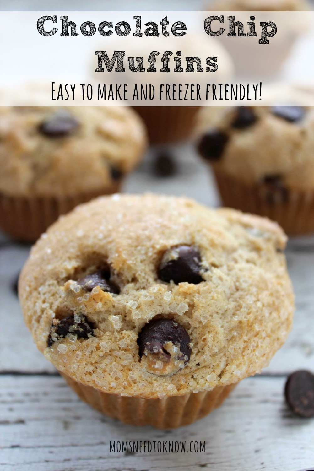 Easy Chocolate Chip Muffins
 Chocolate Chip Muffins