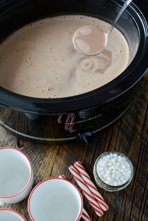 Easy Crockpot Hot Chocolate With Cocoa Powder
 25 Hot Chocolate Recipes