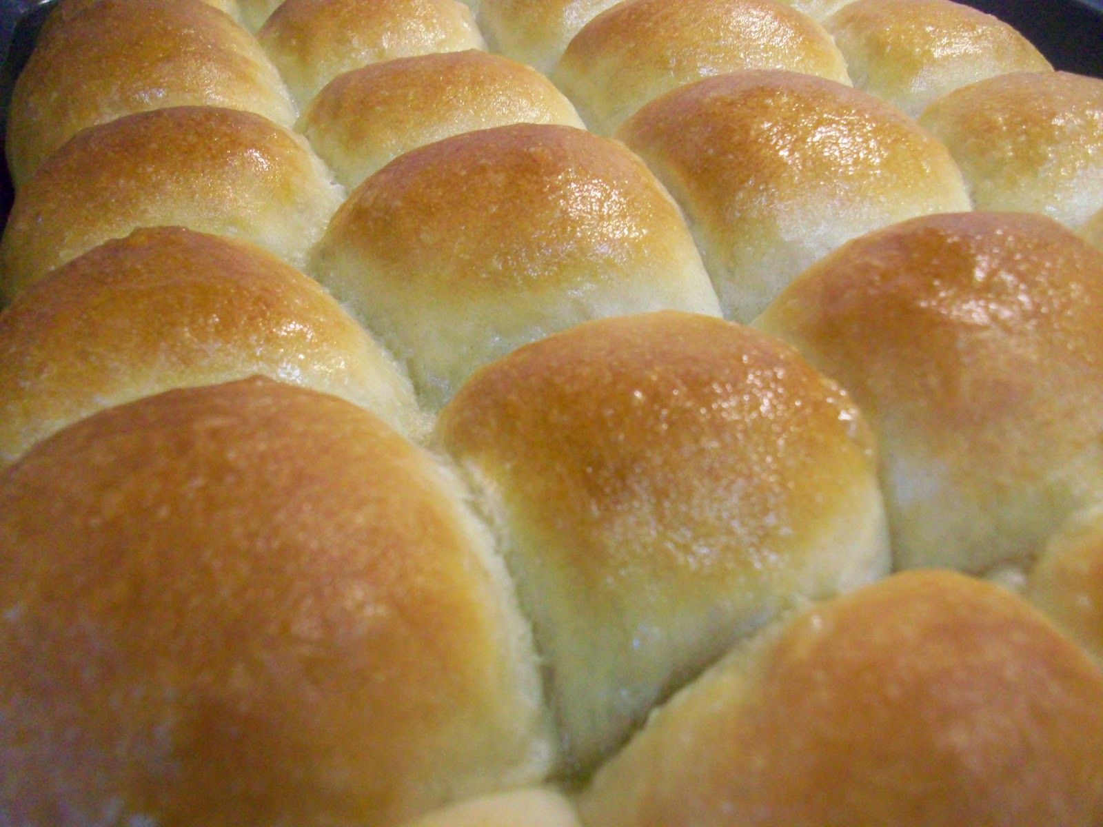 Easy Dinner Rolls
 At Home With Haley Perfect Dinner Rolls