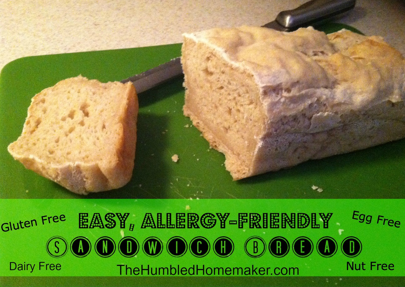 Easy Gluten Free Bread Recipe
 Easy Allergy Friendly Sandwich Bread Recipe gluten egg