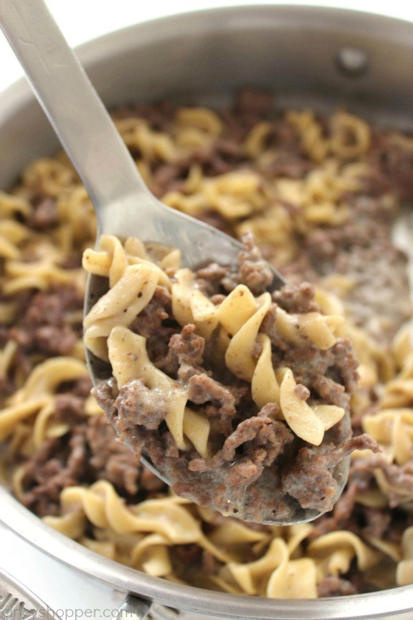Easy Ground Beef Recipes With Few Ingredients
 recipes with egg noodles and ground beef