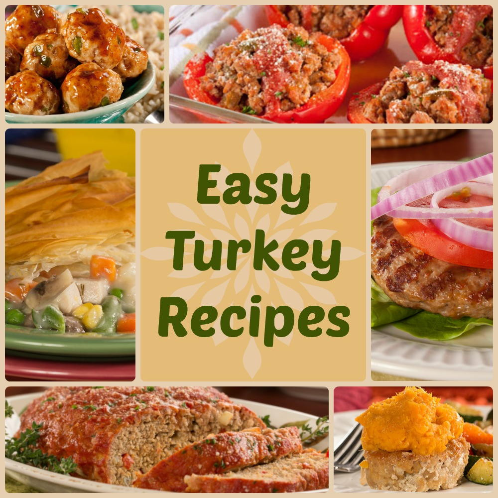 Easy Healthy Recipes For Dinner
 Quick & Healthy Dinner Recipes 18 Easy Turkey Recipes