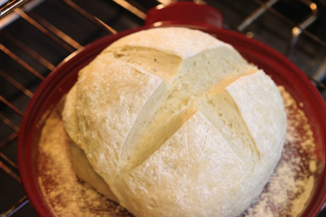 Easy Homemade Bread Recipe
 Easy Homemade Bread Recipe Just Short of Crazy