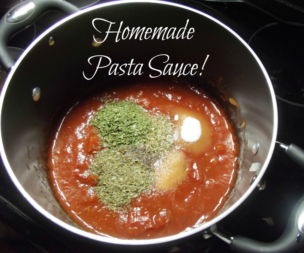 Easy Homemade Pasta Sauce
 Easy Homemade Pasta Sauce